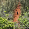 trail 4640